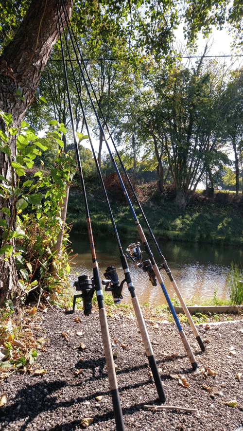 Fishing Furnace Brook